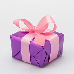 A wrapped gift box